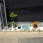 埼玉県 川口市 鳩ケ谷 おしゃれ 和モダン 注文住宅